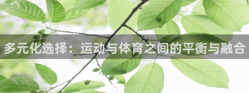 领航国际体育2