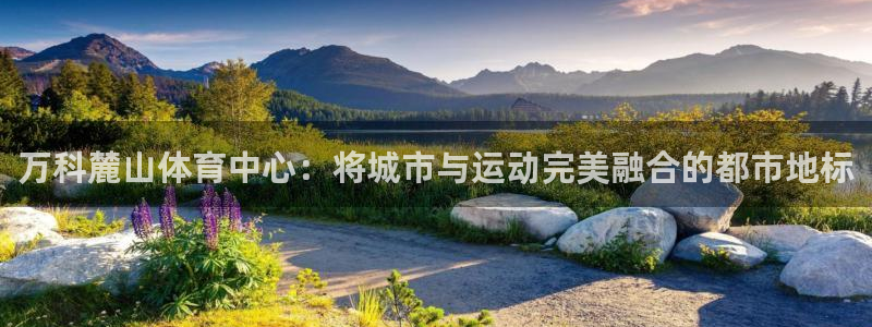 领航国际登录注册