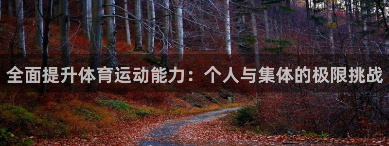 领航国际3注册