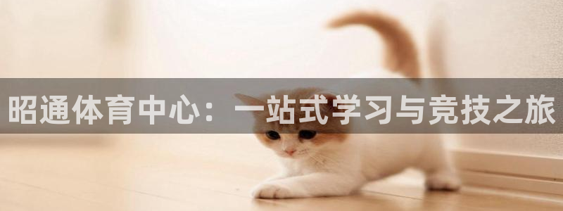 领航国际体育注册平台