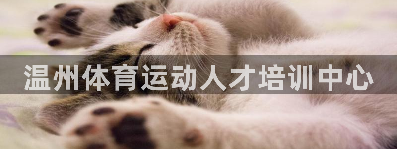 领航国际体育平台登录入口