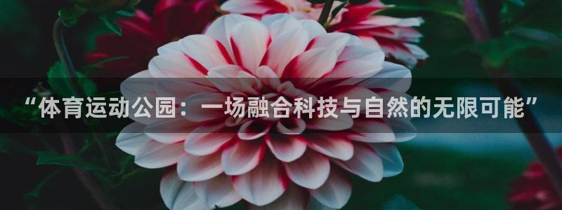 意昂4