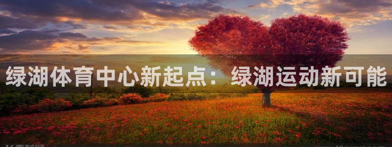 领航国际代理注册官网入口
