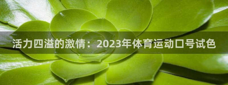 领航国际体育论坛