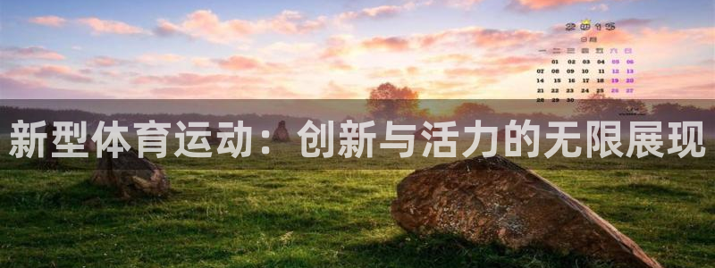 领航国际体育官网注册