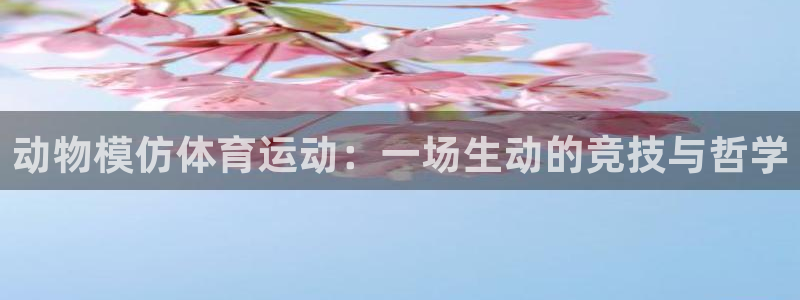 领航国际2官网
