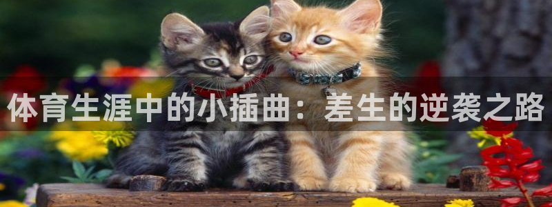 意昂扬是什么意思