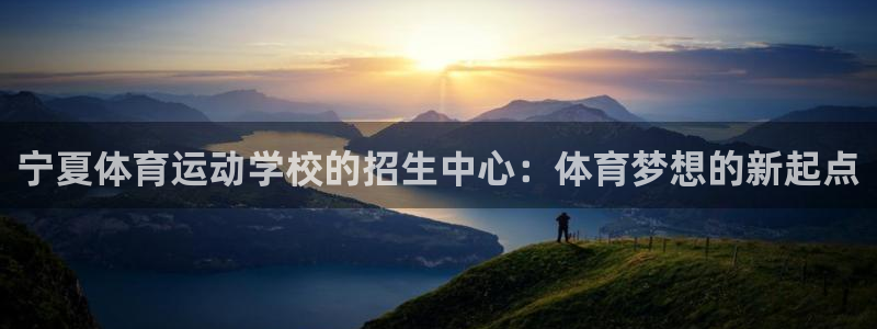 领航国际凯捷平台
