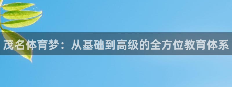 领航国际体育官网注册