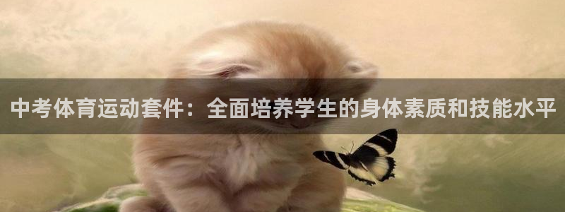 领航国际3官网