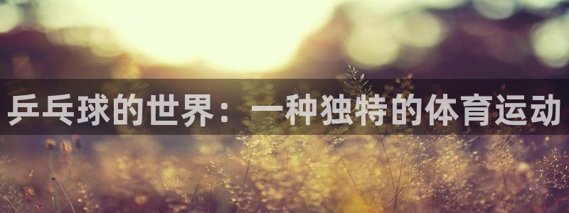 领航国际2代理注册