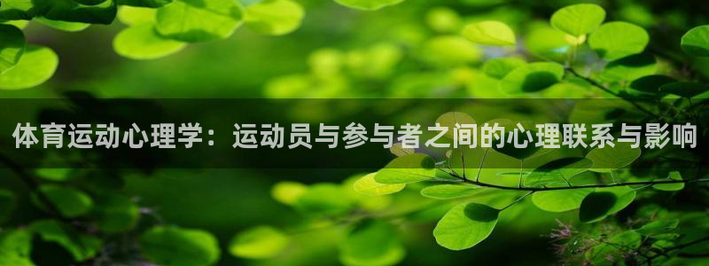 意昂4官网