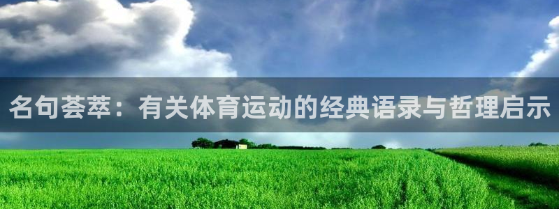 领航国际注册