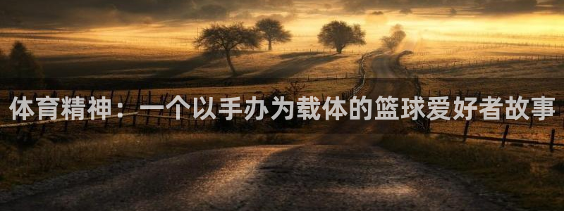 领航国际体育3在线注册