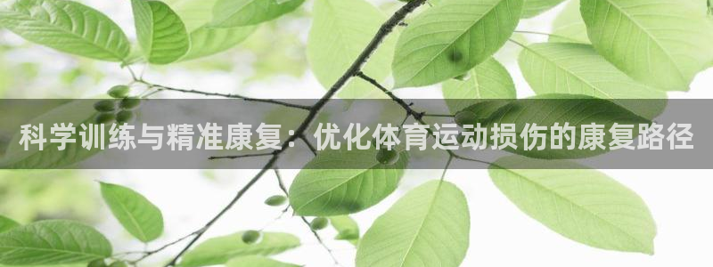 www.领航国际体育.com