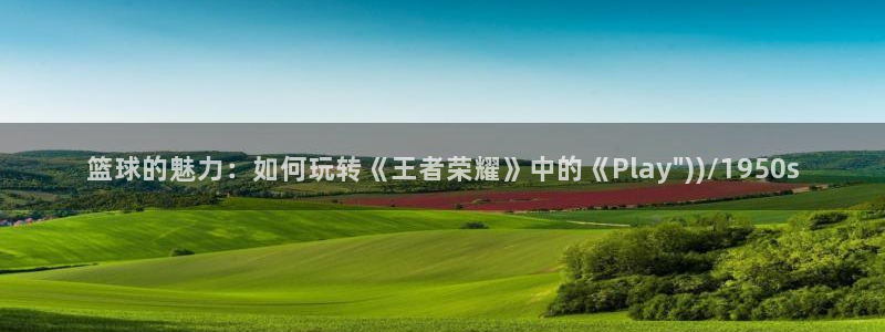 领航国际代理注册
