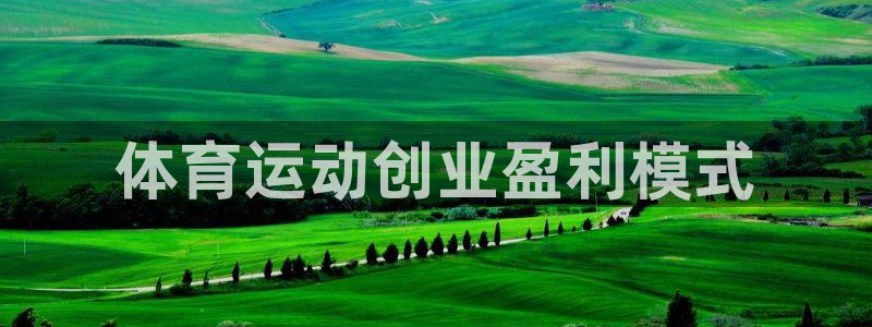 领航国际主管