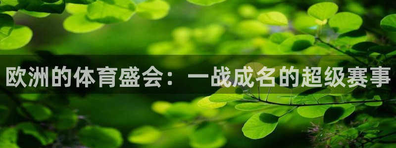 领航国际平台开户链接
