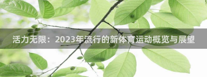 意昂体育2