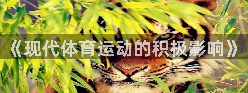 领航国际平台登录