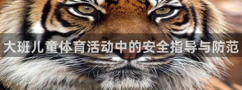 领航国际4
