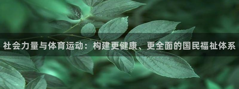 领航国际平台