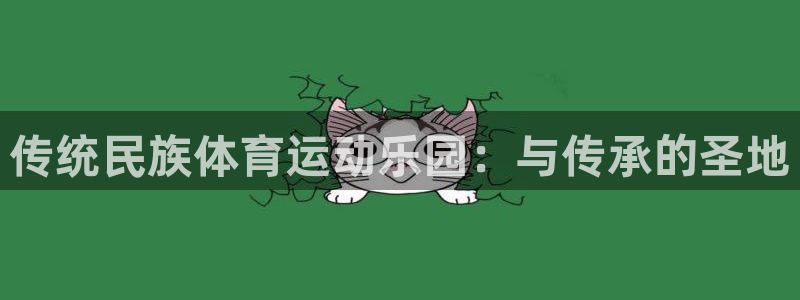 领航国际5