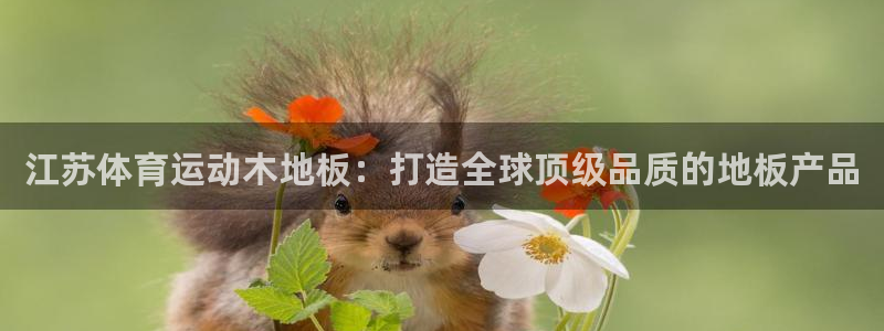 领航国际体育凯捷平台主管