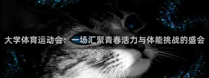 领航国际2登录入口