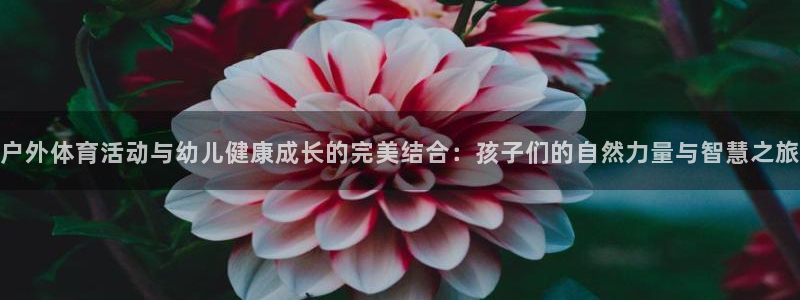 领航国际体育注册代理