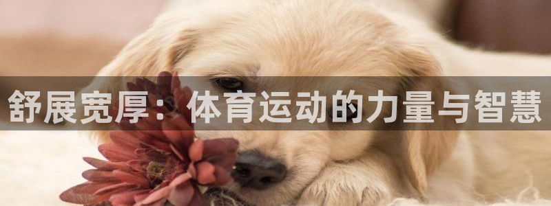 领航国际主管