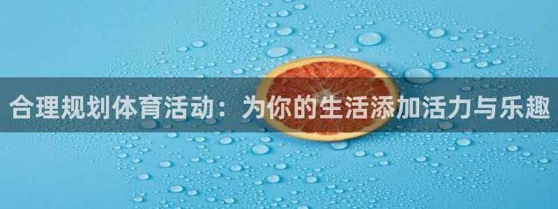 领航国际官网入口