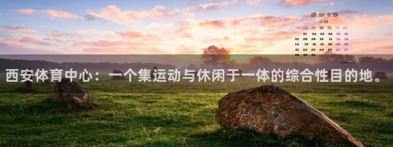 领航国际平台注册