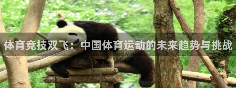 意昂4开户