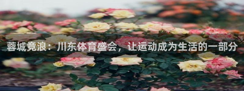领航国际体育3在线注册
