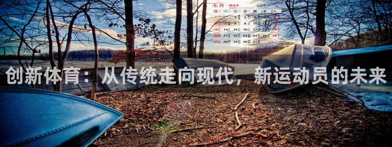 领航国际体育平台总代理