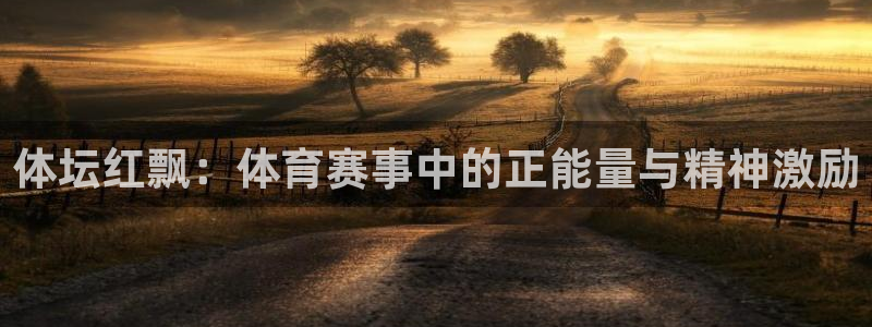 领航国际5