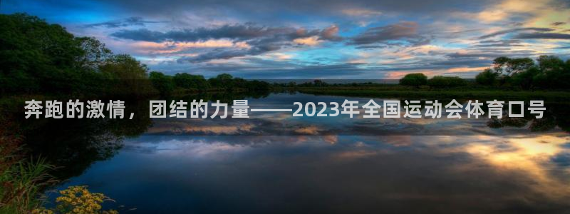 上海领航国际汽车电子有限公司