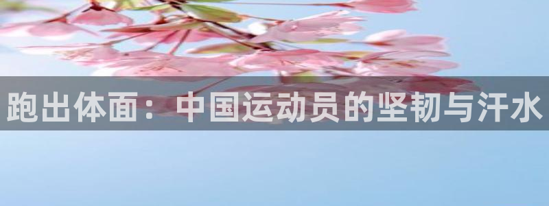 领航国际体育官网登录