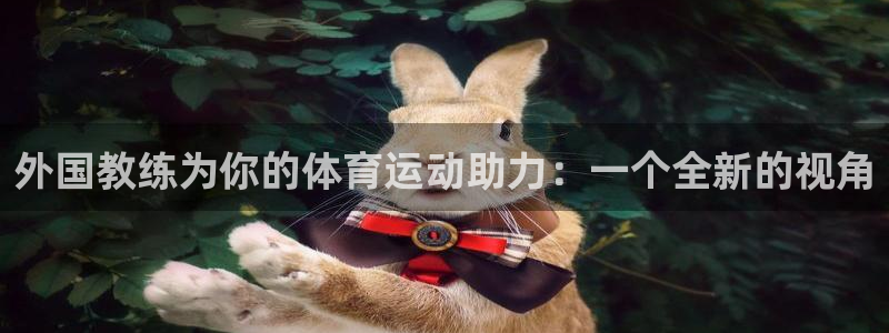 领航国际集团