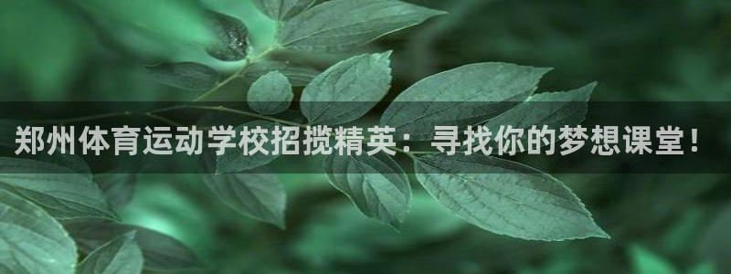 意昂平台主管